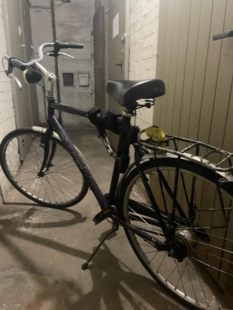 Fahrrad (Giant) 