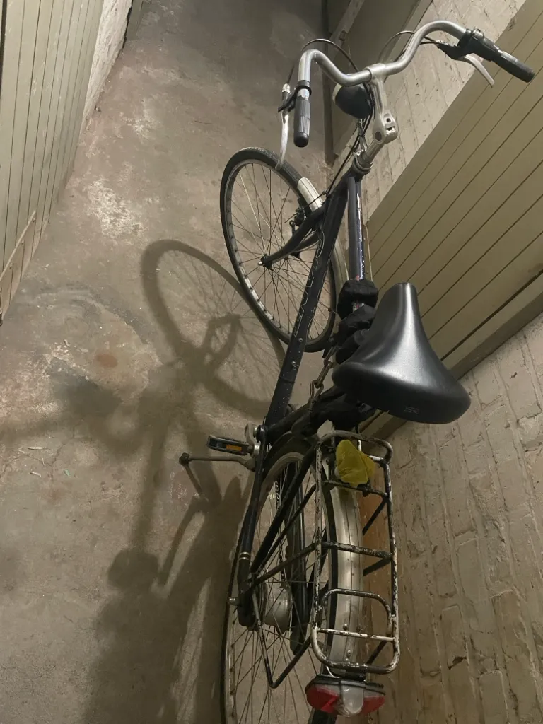 Fahrrad (Giant)  – Bild 2