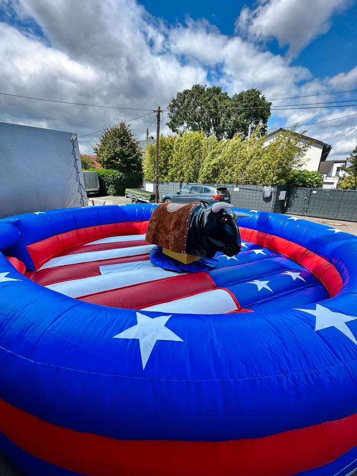 Bullreiten Bullriding mieten in Hannover – Bild 2